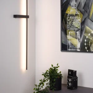 Lucide SEGIN 60