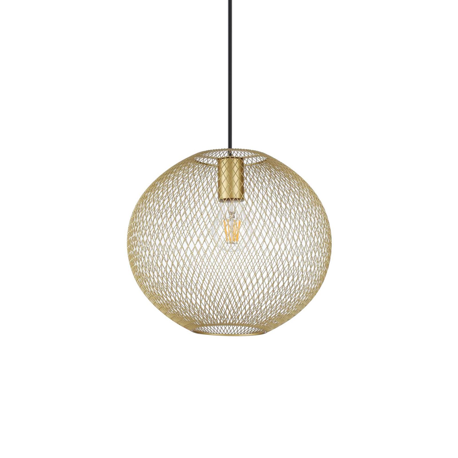 Ideallux NET SP1