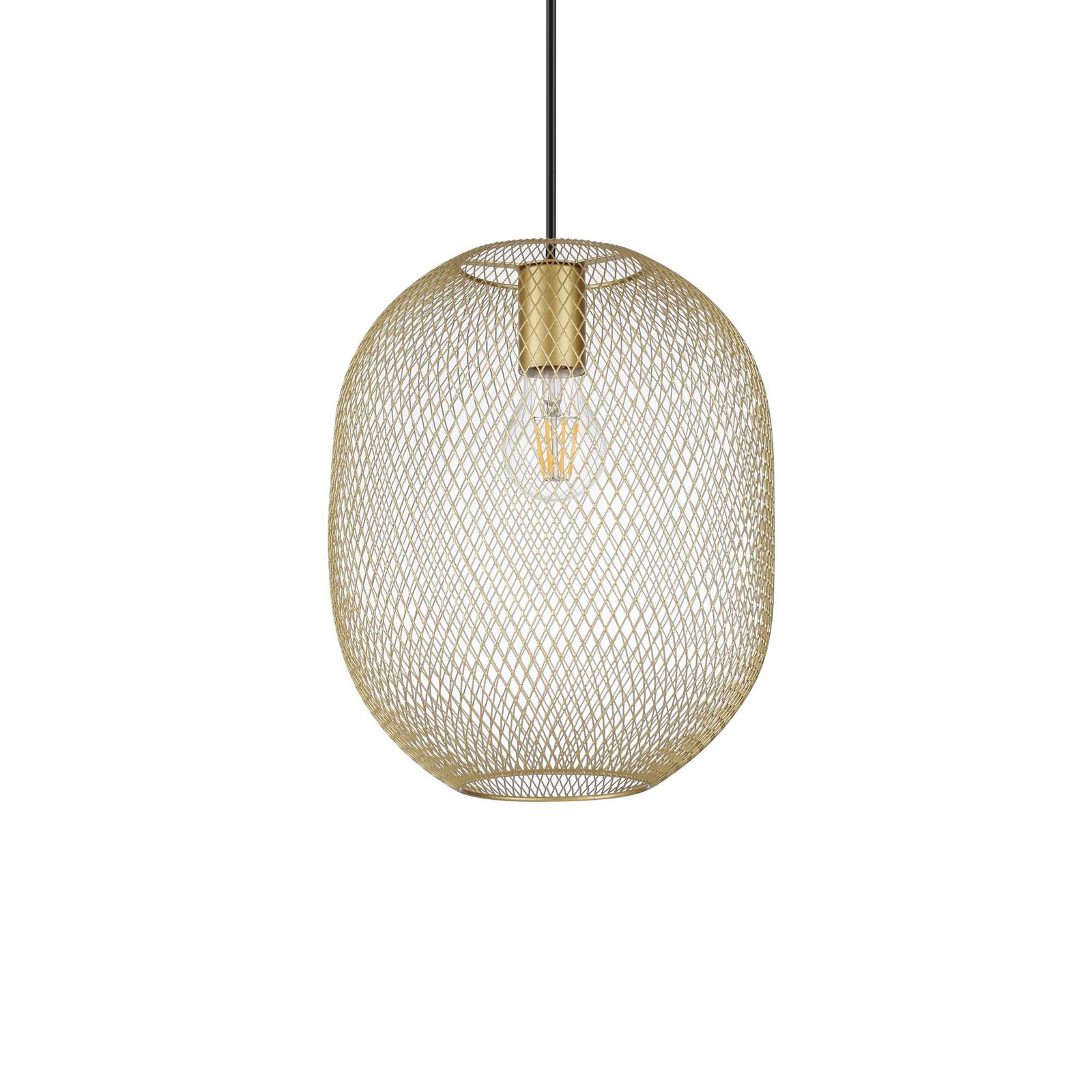 Ideallux NET SP1