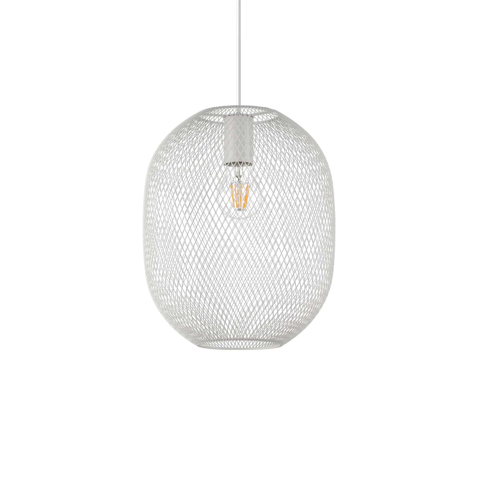 Ideallux NET SP1