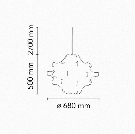 Flos TARAXACUM1 suspenso