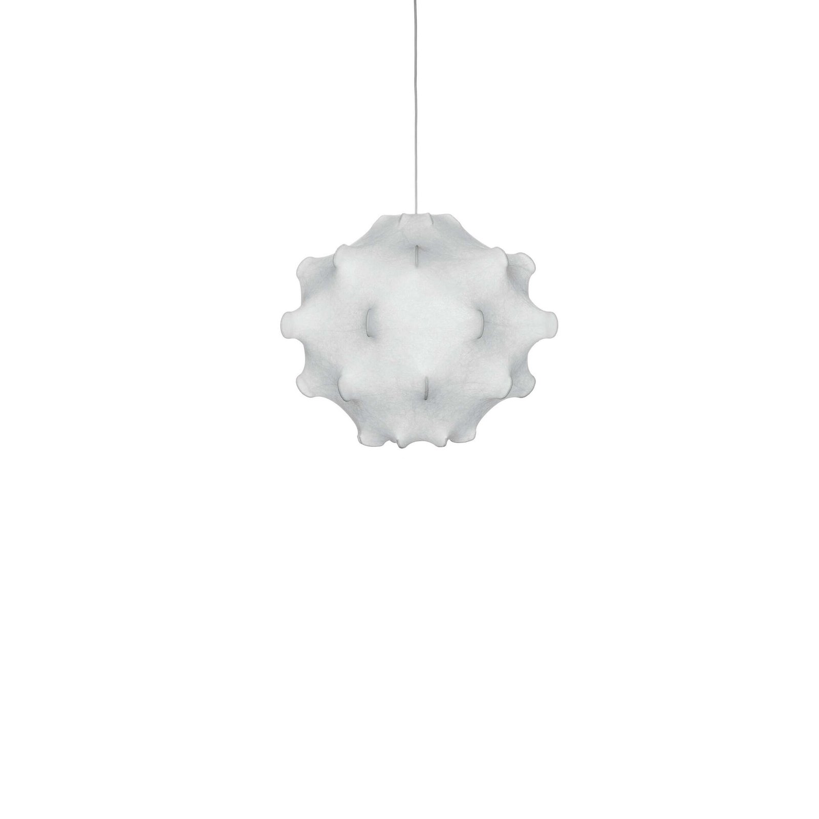 Flos TARAXACUM1 suspenso